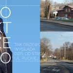 05PROJDRZEWO.jpg