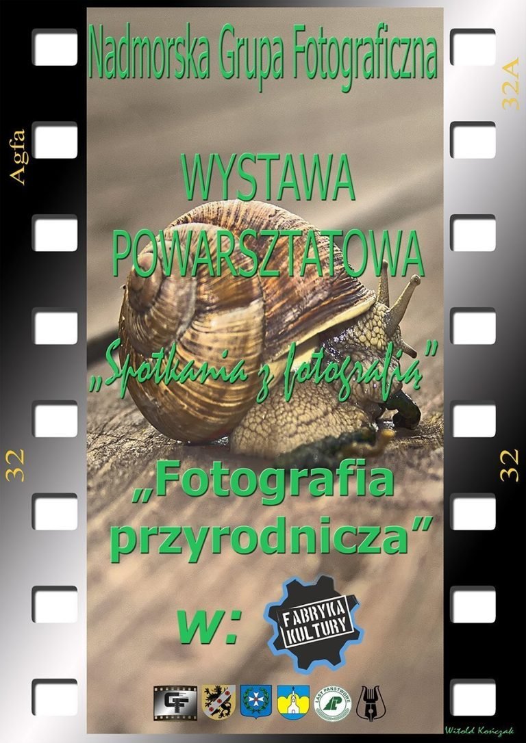 ngf-wystawa2014-przyrodnicza.jpg