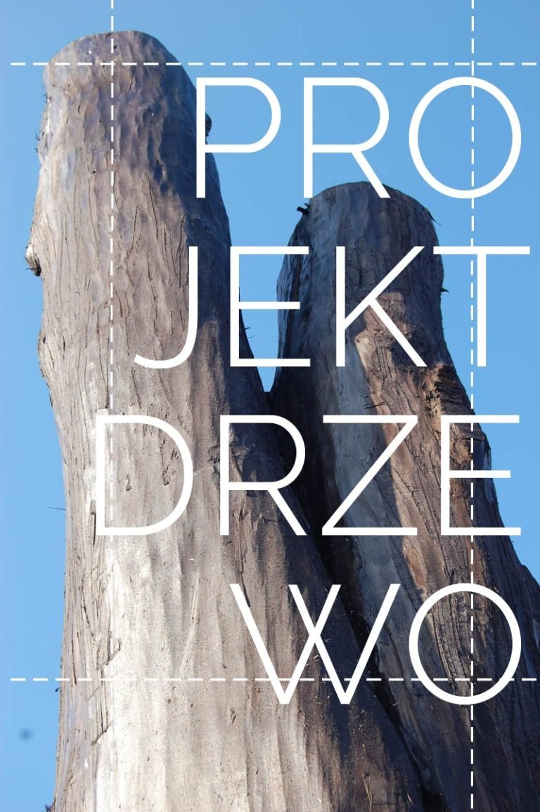 okladka-projektdrzewo2016.jpg