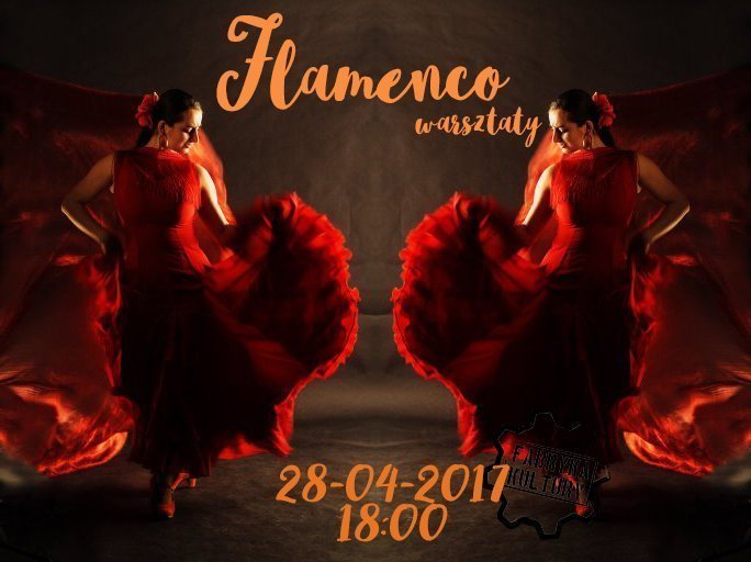 flamenco-net.jpg