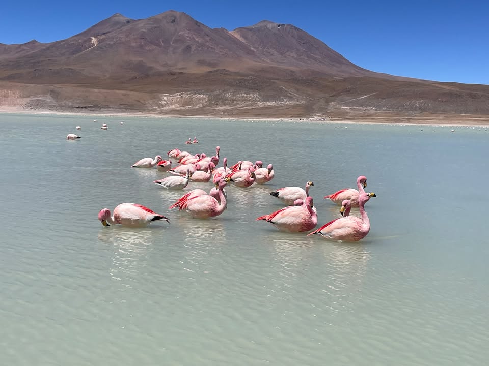 Fabryka Kultury w Redzie