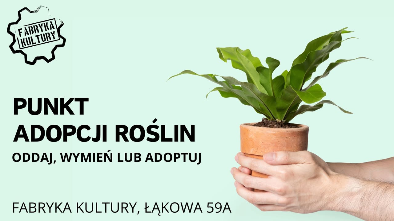 Fabryka Kultury w Redzie