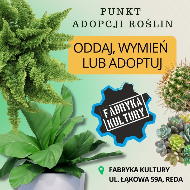 Fabryka Kultury w Redzie