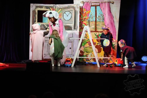 IMG 3842 (1)